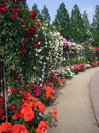 GARDEN DECORATION